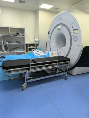 4 maniglie ergonomiche Non magnetiche Altezza regolabile da 22 a 32 pollici Perfetto per le esigenze di gestione del paziente in sala MRI
