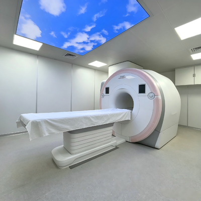 Gabbia Faraday resistente alla corrosione personalizzabile per dimensioni della sala MRI riduce le interferenze RF esterne